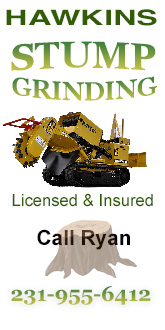 Hawkins Stump Grinding
